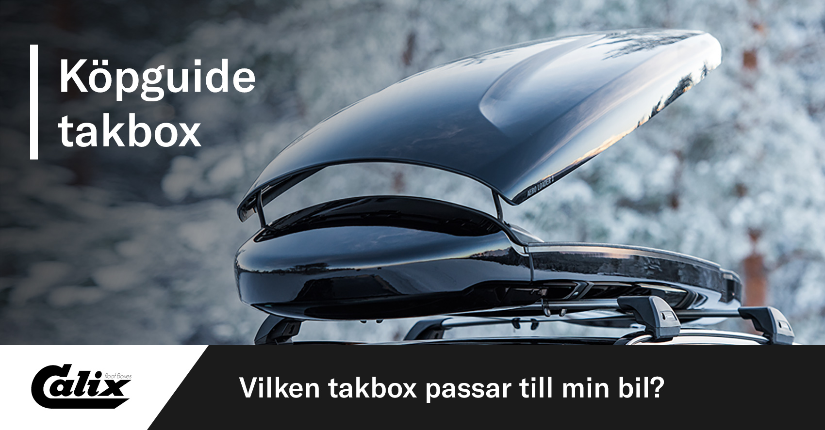 Vilken takbox passar till min bil